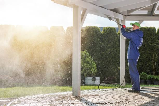 Best Soft Washing  in Silver Bay, MN